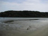 44. Susak
